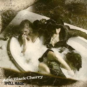Acid Black Cherryのシャイニン・オン君が哀しいをリクエストしよう！