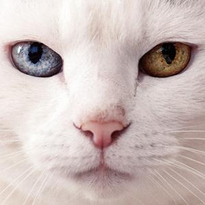 ケツメイシのMake&Breakをリクエストしよう！