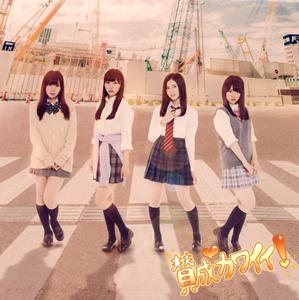 SKE48 石榴の実は憂鬱が何粒詰まっている? jacket image