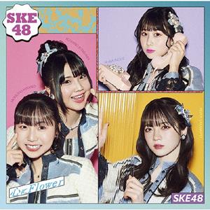 SKE48 仲間よ jacket image