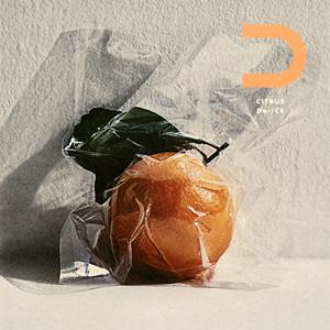 Da-iCE CITRUS jacket image