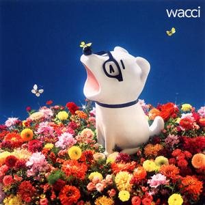 wacci キラメキ jacket image