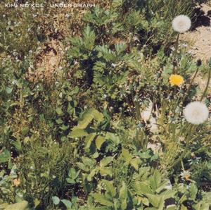 アンダーグラフのアカルキミライをリクエストしよう！