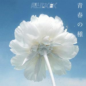限りなく白くの青春の種をリクエストしよう！