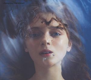 シナリオアートのセンカイヘをリクエストしよう！