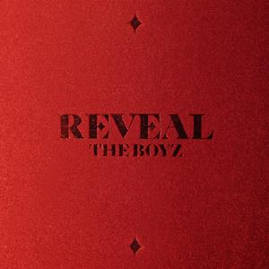 THE BOYZ REVEAL jacket image