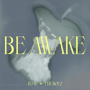 THE BOYZ AWAKE jacket image