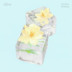 N.Flyingのマンニョンソル(Everlasting)をリクエストしよう！