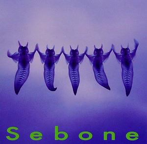 とたのあげないをリクエストしよう！