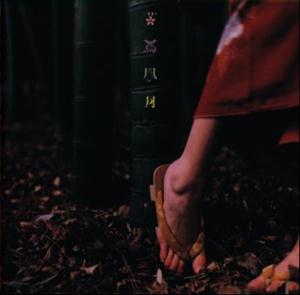 スピッツのトゲトゲの木をリクエストしよう！