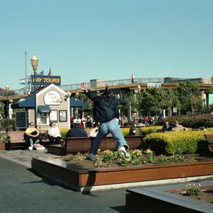 サニーデイ・サービスのレモネード挽歌をリクエストしよう！