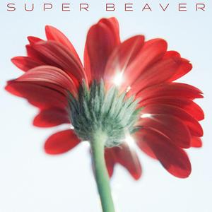 SUPER BEAVERの涙の正体をリクエストしよう！