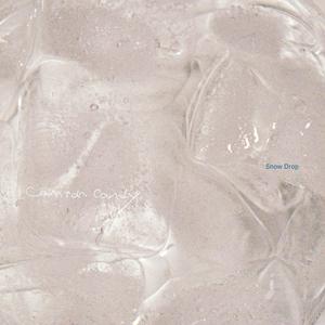 Conton Candyの虹色の羽虫をリクエストしよう！