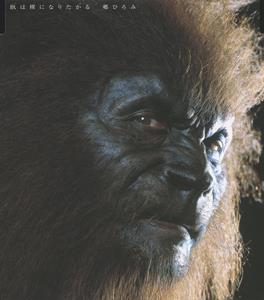 郷ひろみのNecessityをリクエストしよう！