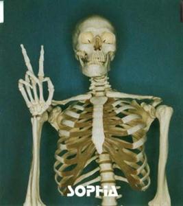 SOPHIAのFairlyをリクエストしよう！