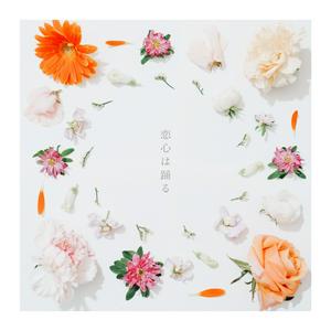 音田雅則の恋心は踊るをリクエストしよう！