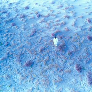 H△Gのこだまでしょうかをリクエストしよう！