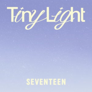 SEVENTEENのTiny Lightをリクエストしよう！