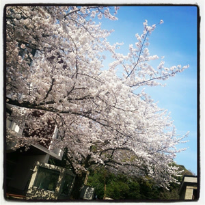 Money Mou$eの生きるのをやめる時も(feat. 花隈千冬)をリクエストしよう！