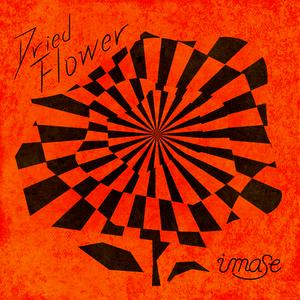 imaseのDried Flowerをリクエストしよう！