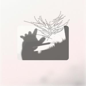 BillyrromのTorieをリクエストしよう！