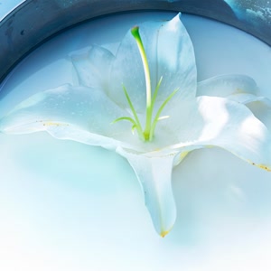 リーガルリリーのホームカミングをリクエストしよう！