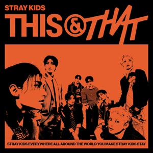 Stray KidsのI Doをリクエストしよう！