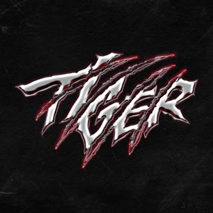 THE BOYZのTigerをリクエストしよう！