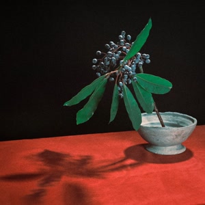 indigo la Endのカグラをリクエストしよう！