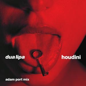 デュア・リパのフーディーニ(Adam Port Mix)をリクエストしよう！