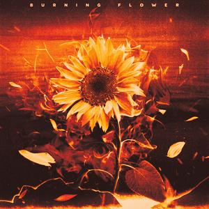 HANAのBurning Flowerをリクエストしよう！