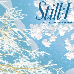 ASC2NTのStill Roseをリクエストしよう！